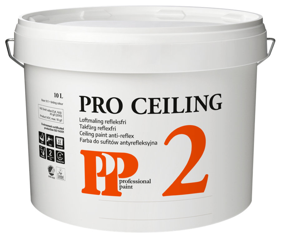 Pro Ceiling 2
